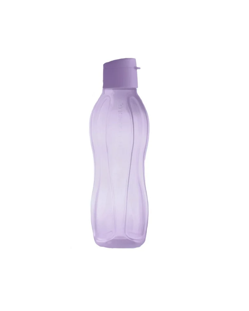Ecobouteille 750 ml (violette)