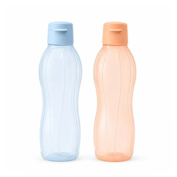 Eco Bouteille 1 l x 2