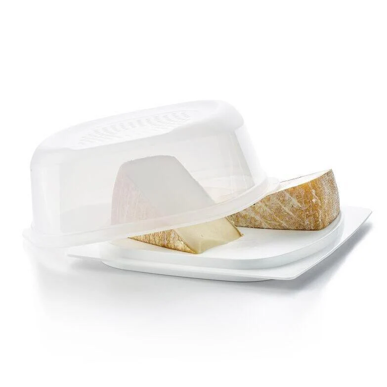 Petite Cave à fromages