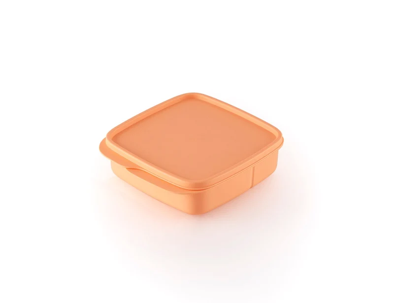 Éco Lunch box 550 ml