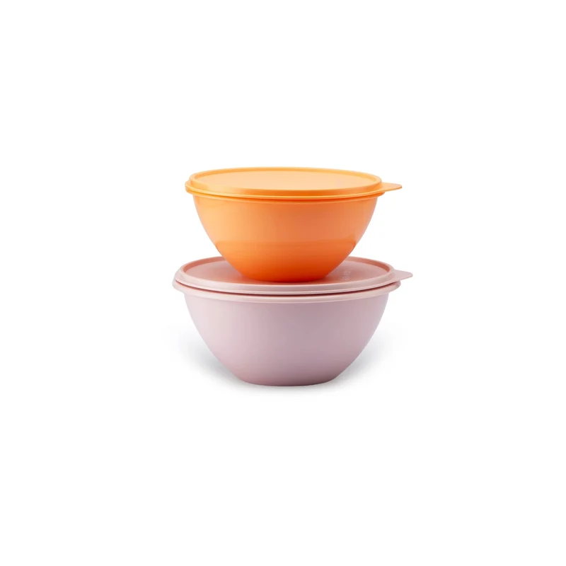 Set de 2 bols merveilleux (1 l et 1,7 l)