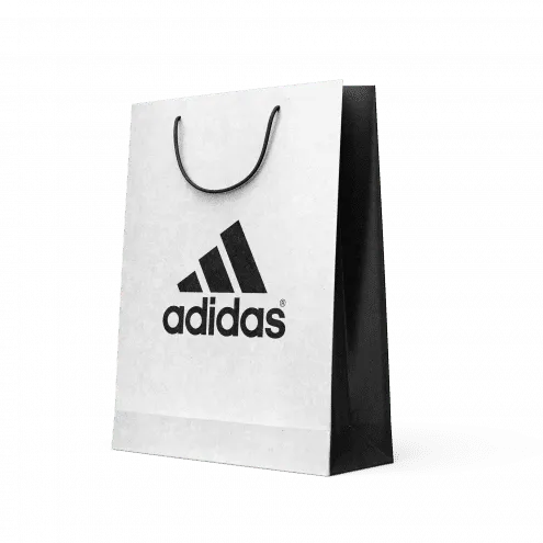 Sac kraft coloré poignées cordelettes