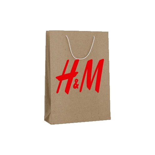Sac kraft brun poignées cordelettes