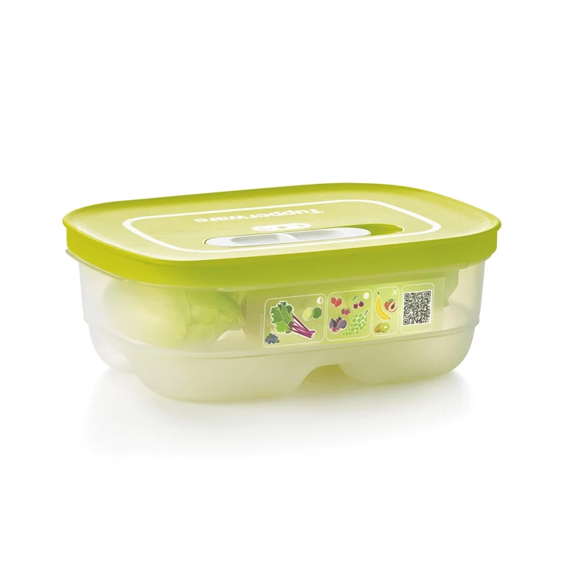 Boîte VentilOfrais 800 ml