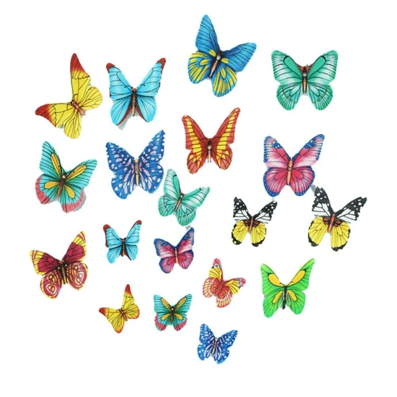 Papillon et Fleur Comestible