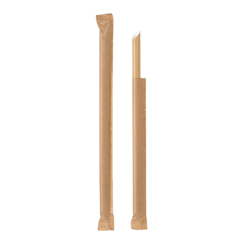 Paper Straw - 23 x 1 x 1 cm