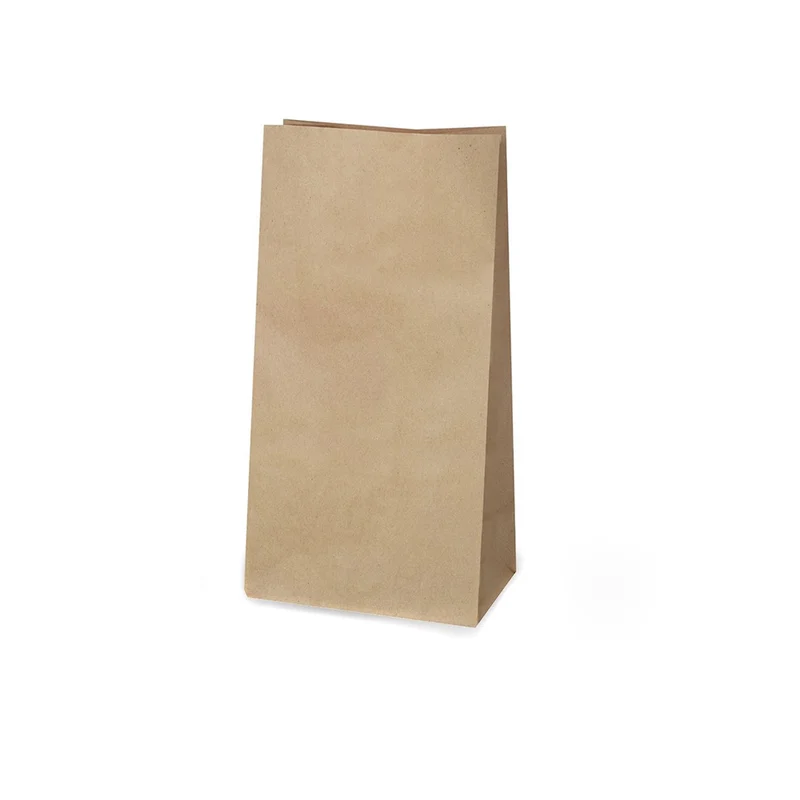 Paper / Kraft Bag - Medium