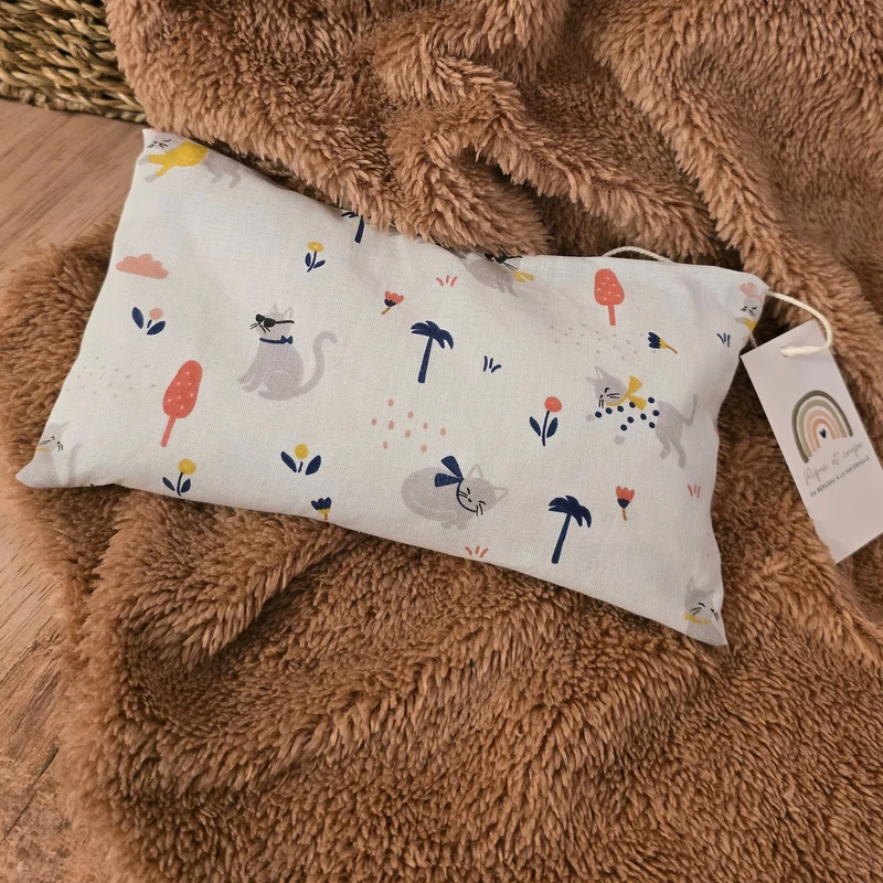 Bouillotte sèche chats