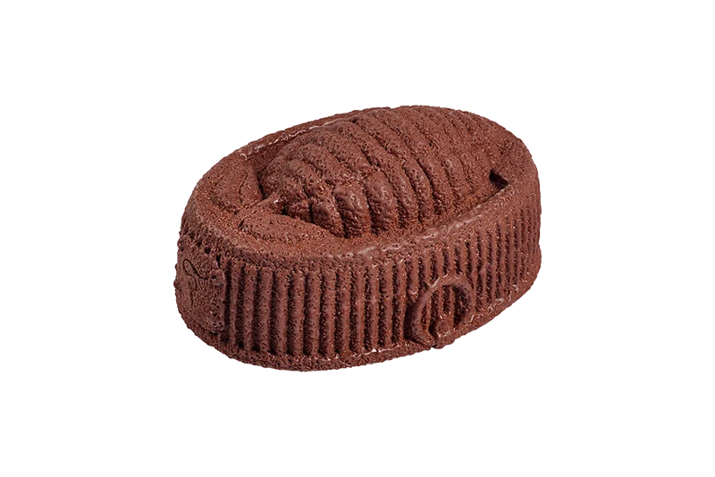 Bûche 1905