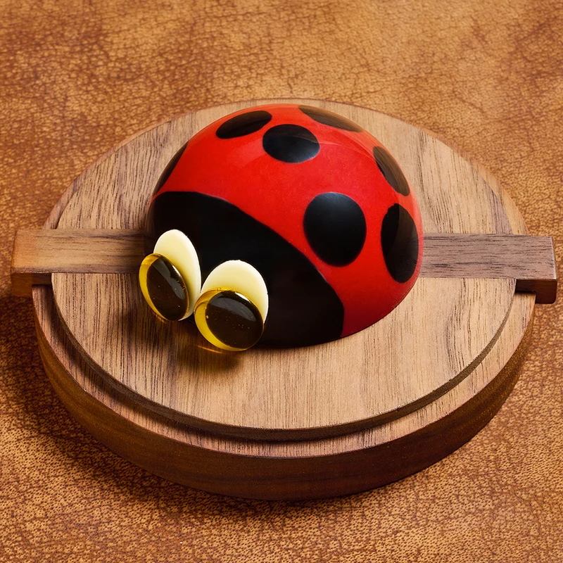 Divine la coccinelle