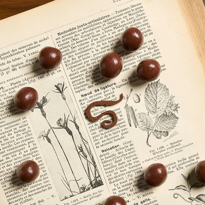 Noisettes enrobées de chocolat au lait