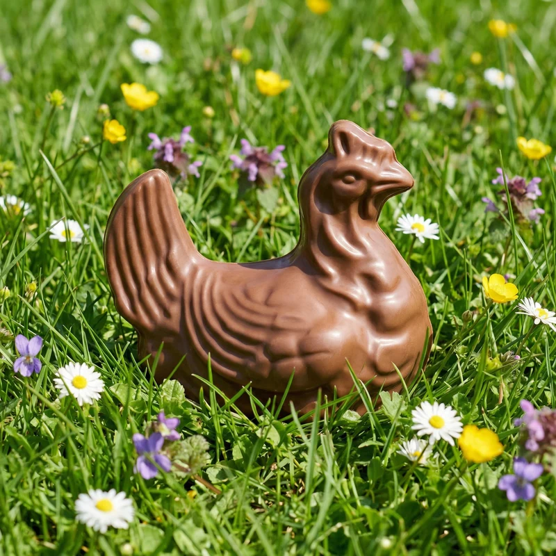 Papa Poule Lait – Poule en chocolat au lait 45% de cacao minimum