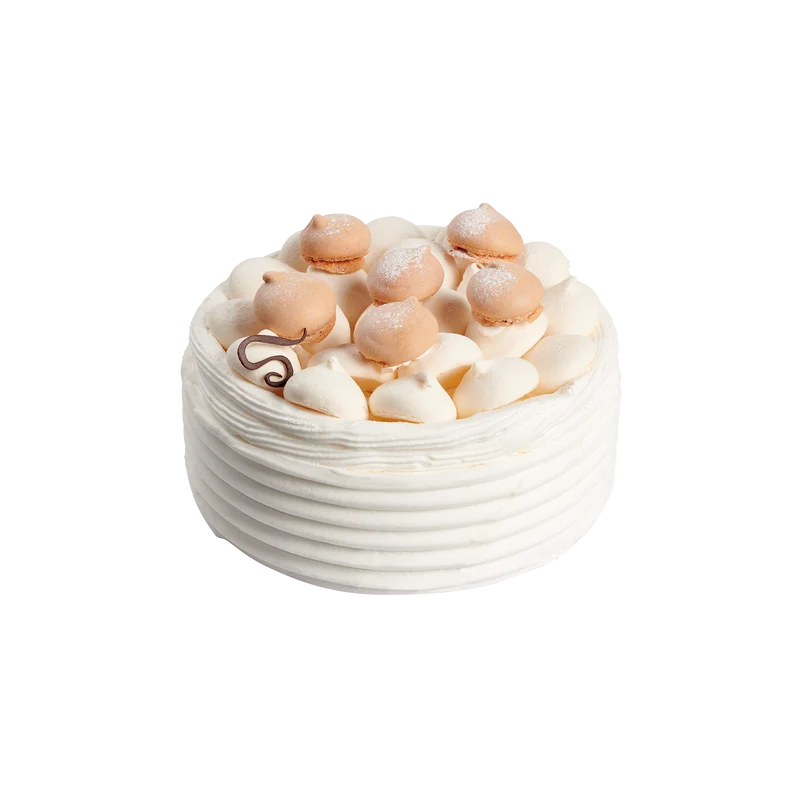 Vacherin Glacé Vanille & Chocolat – Dessert glacé artisanal à partager