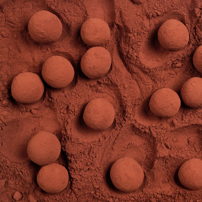 Truffes au chocolat noir artisanales – Ganache fondante