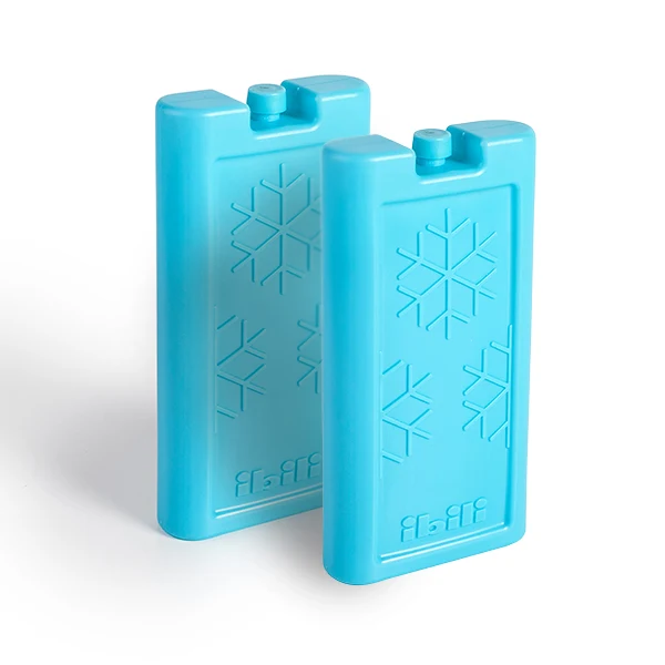 Set de 2 grands accumulateurs de froid Ibili