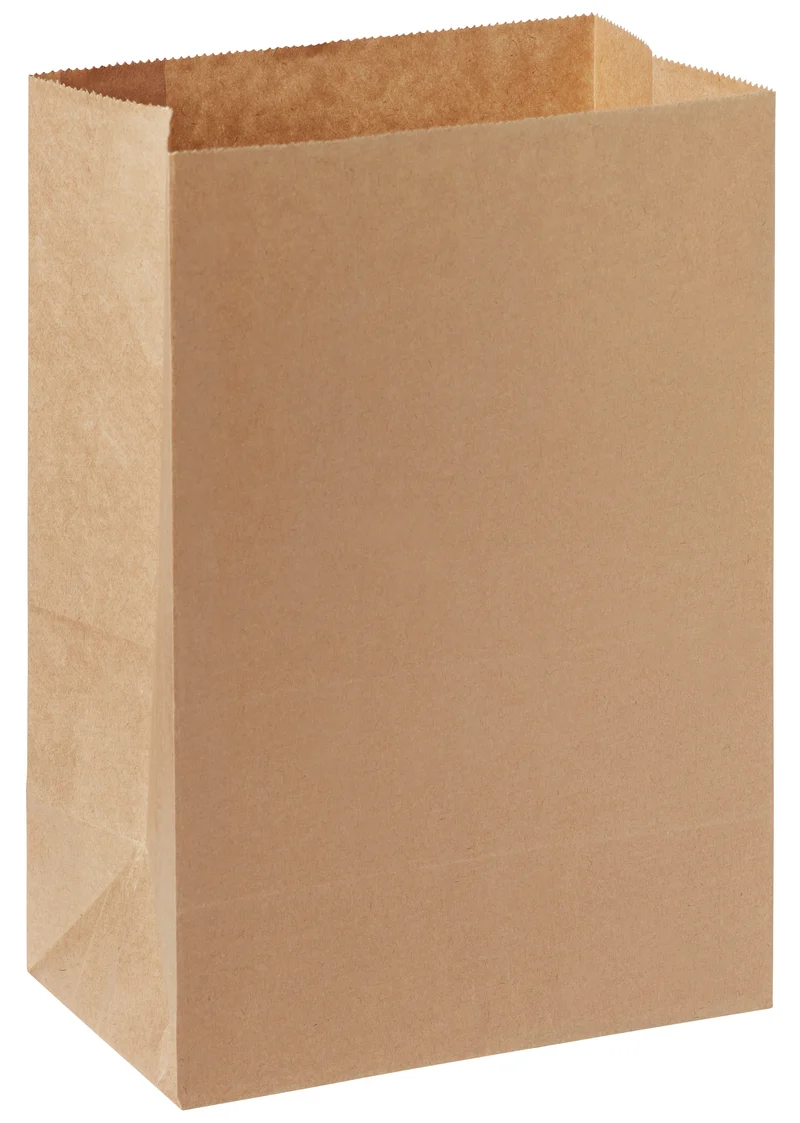 Paper Bag - 5000 ml