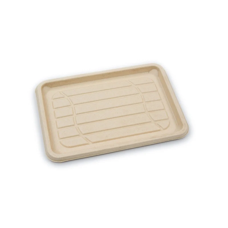 Fiber (sugarcane/bangasse) Tray -