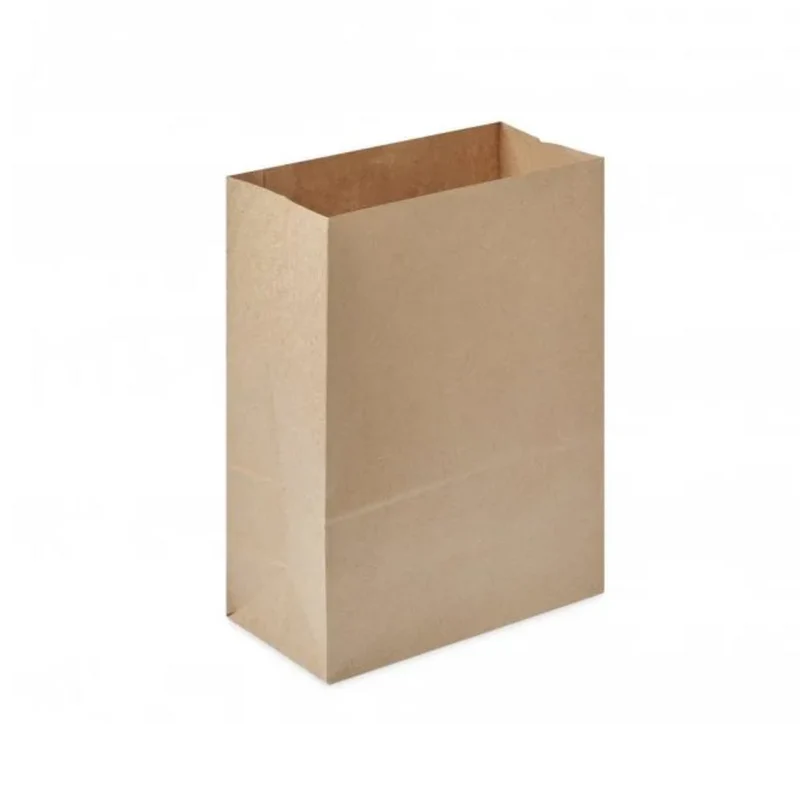 Paper/kraft Bag -