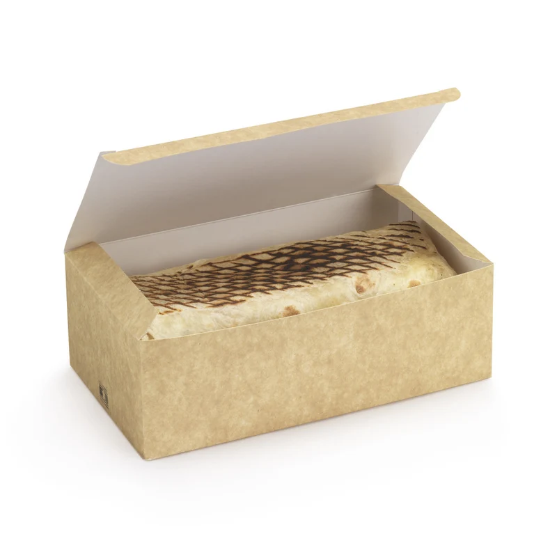 CARTON Clamshell - 22.8 x 12.4 x 7.8 cm