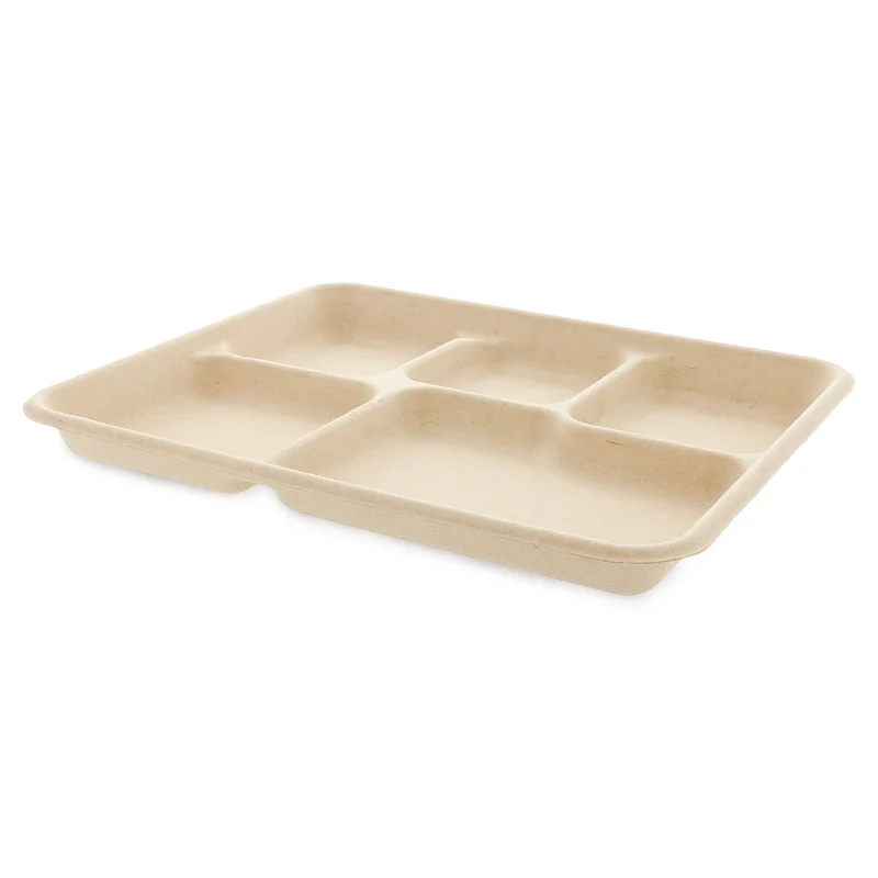 Cane Sugar Pulp Tray - 26.5 x 21.5 x 2 cm
