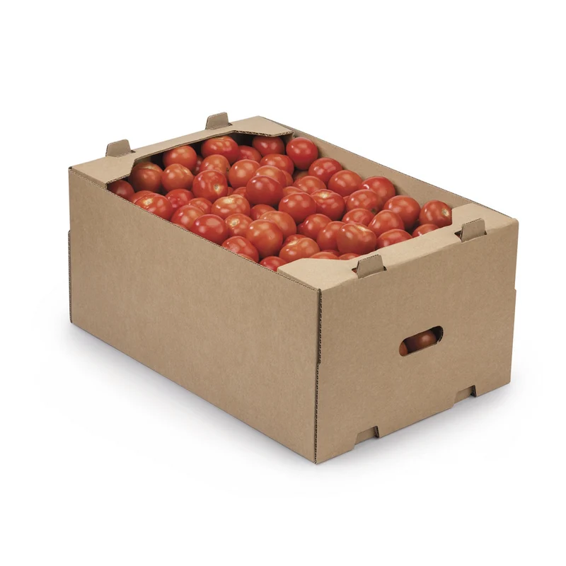 Kraft Tray - 58.2 x 39.2 x 26.5 cm
