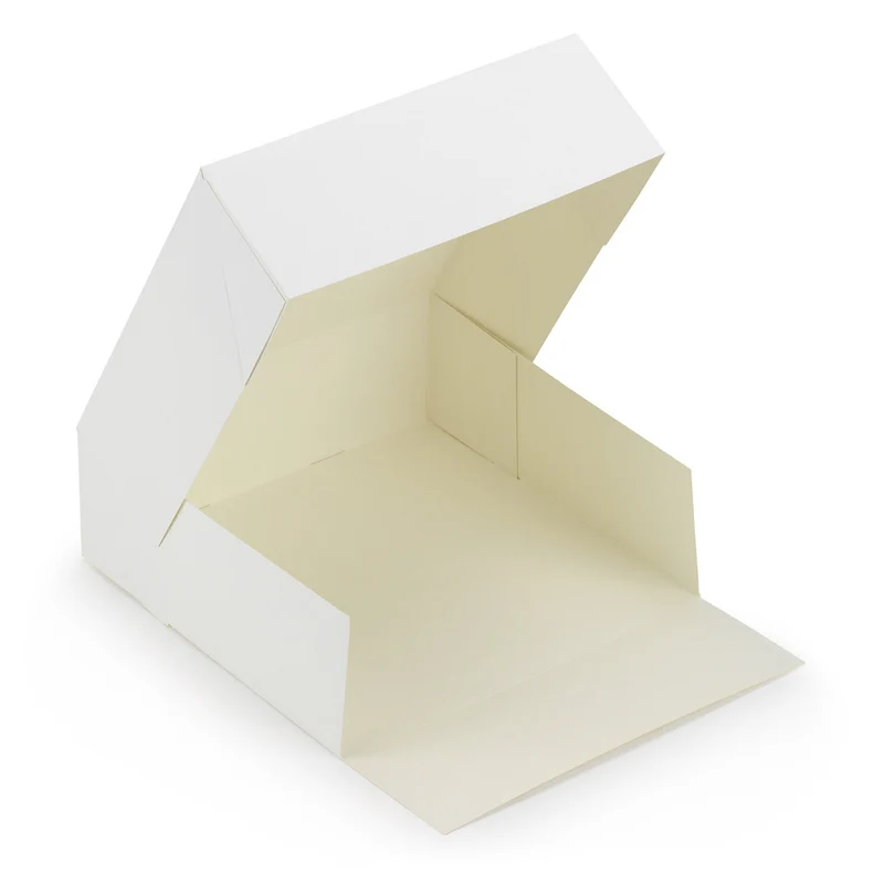 Carton Clamshell - 23 x 23 x 8 cm