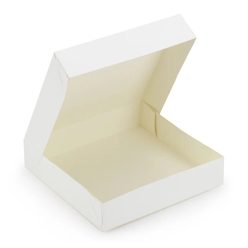 Carton Clamshell - 23 x 23 x 5 cm