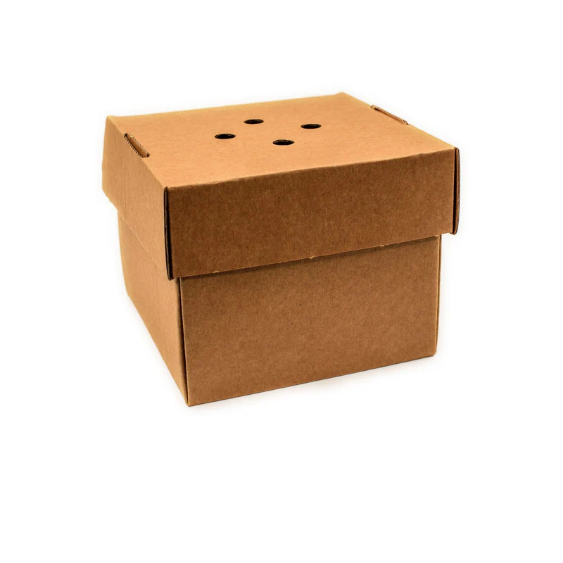 Paper / Kraft Bowl / Tub - 6X6"