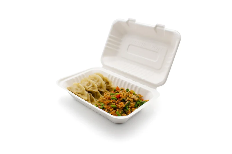 Bagasse Clamshell - 23.2 x 15.5 x 7.8 mm (9 x 6")