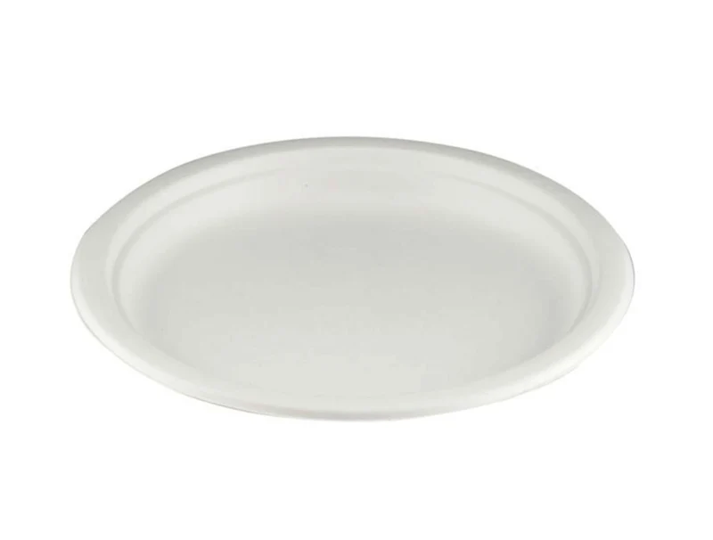 Bagasse Tray - 26 cm (10")