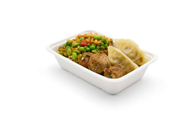 Bagasse Tray - 500 ml