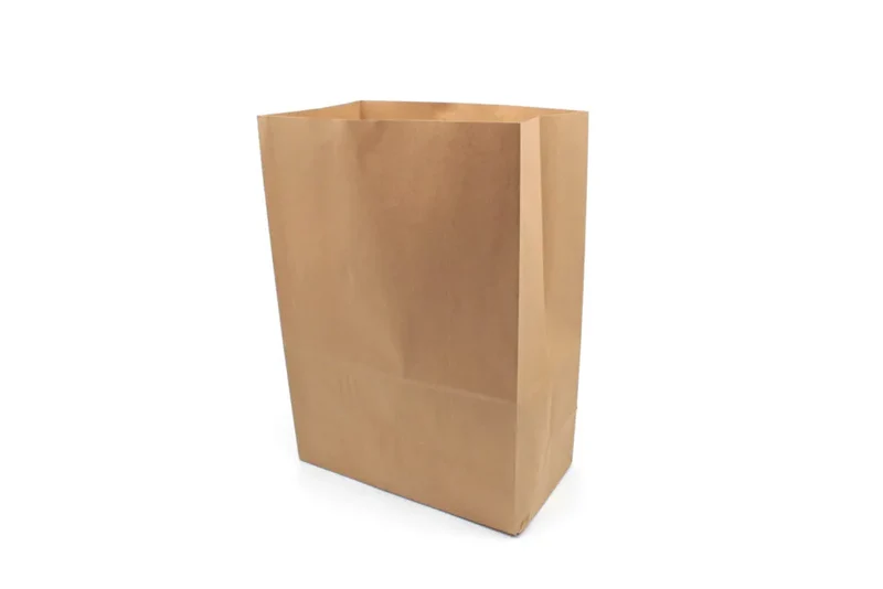 Bag - 320 x 170 x 450 mm