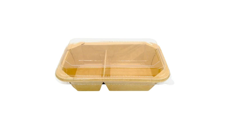 Plastic Container Lid - 22.8 x 14.7 cm