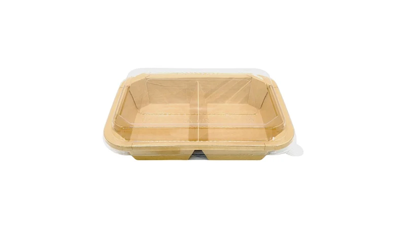 Plastic Container Lid - 21.6 x 15.4 cm