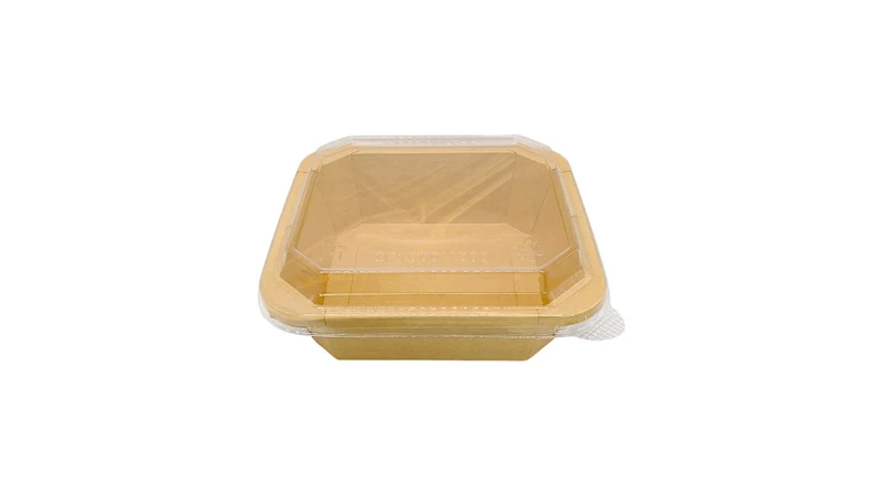 Plastic Container Lid - 15.2 x 15.2 cm