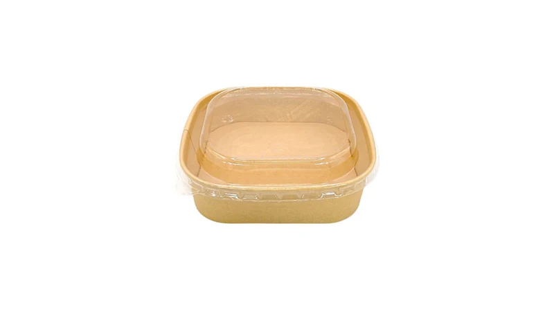Plastic Container Lid - 17 x 17 cm