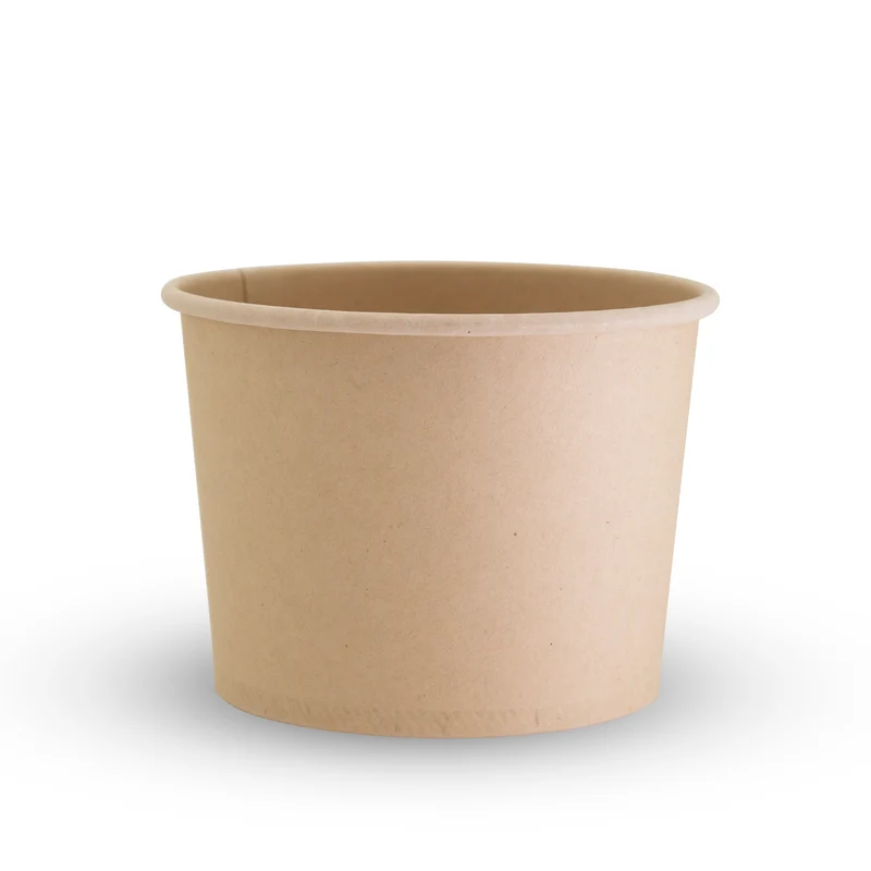 Lined Paper Bowl / Tub - 473 ml