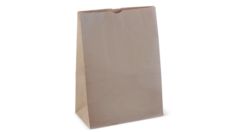 Paper / Kraft Bag - 430 x 305 x 175 cm