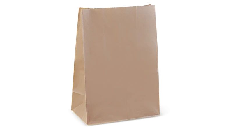 Paper / Kraft Bag - 305 x 215 x 121 cm
