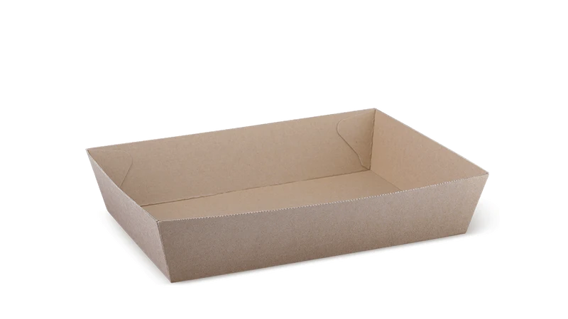 Paper / Kraft Tray - 255 x 179 x 58 cm