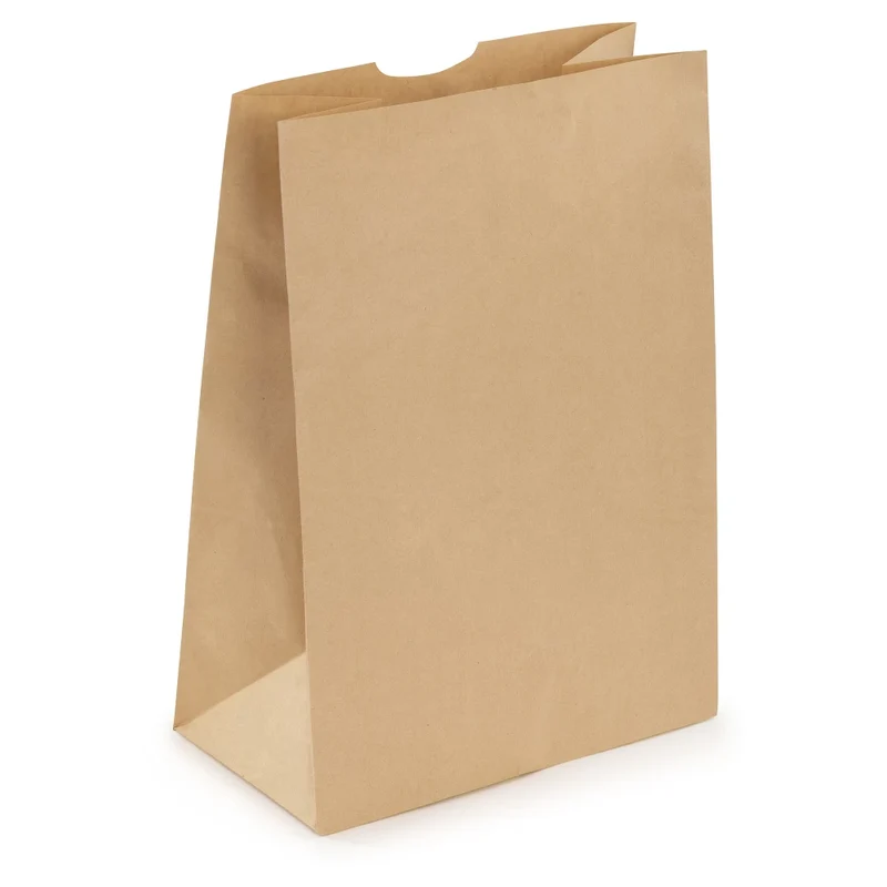 Kraft bags without handles